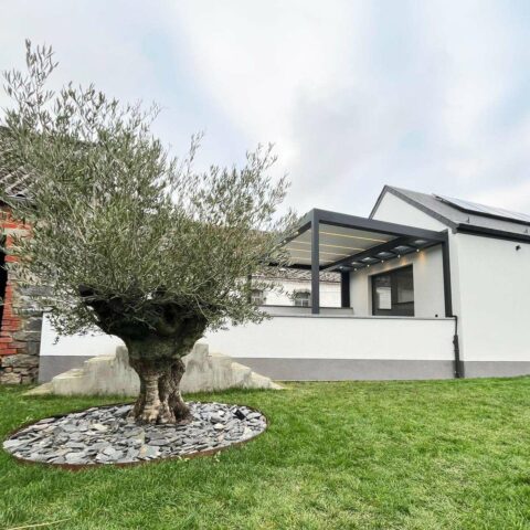 Pergola B720 Brustor avec toit en verre et à lames orientables