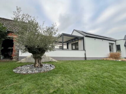 Pergola b720 grise, protection solaire, protection extérieure